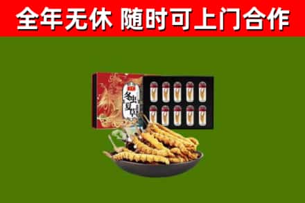 陵水市回收冬虫夏草价格