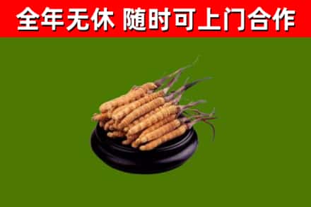 陵水市烟酒回收冬虫夏草.jpg